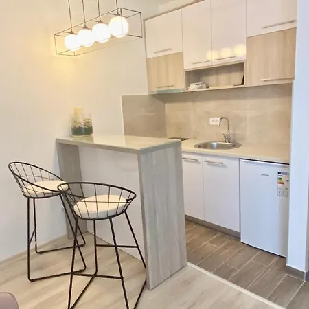 Apartament Smiljana Banja Koviljača